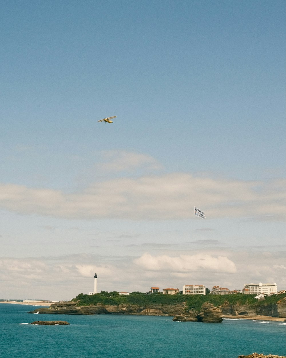 birds flying over the city during daytime