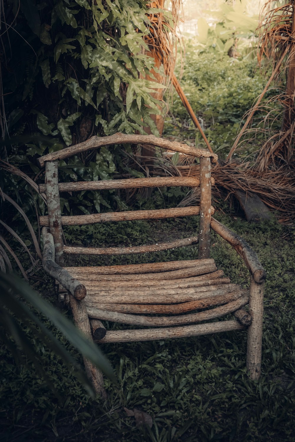 brown wooden chair on forest during daytime
