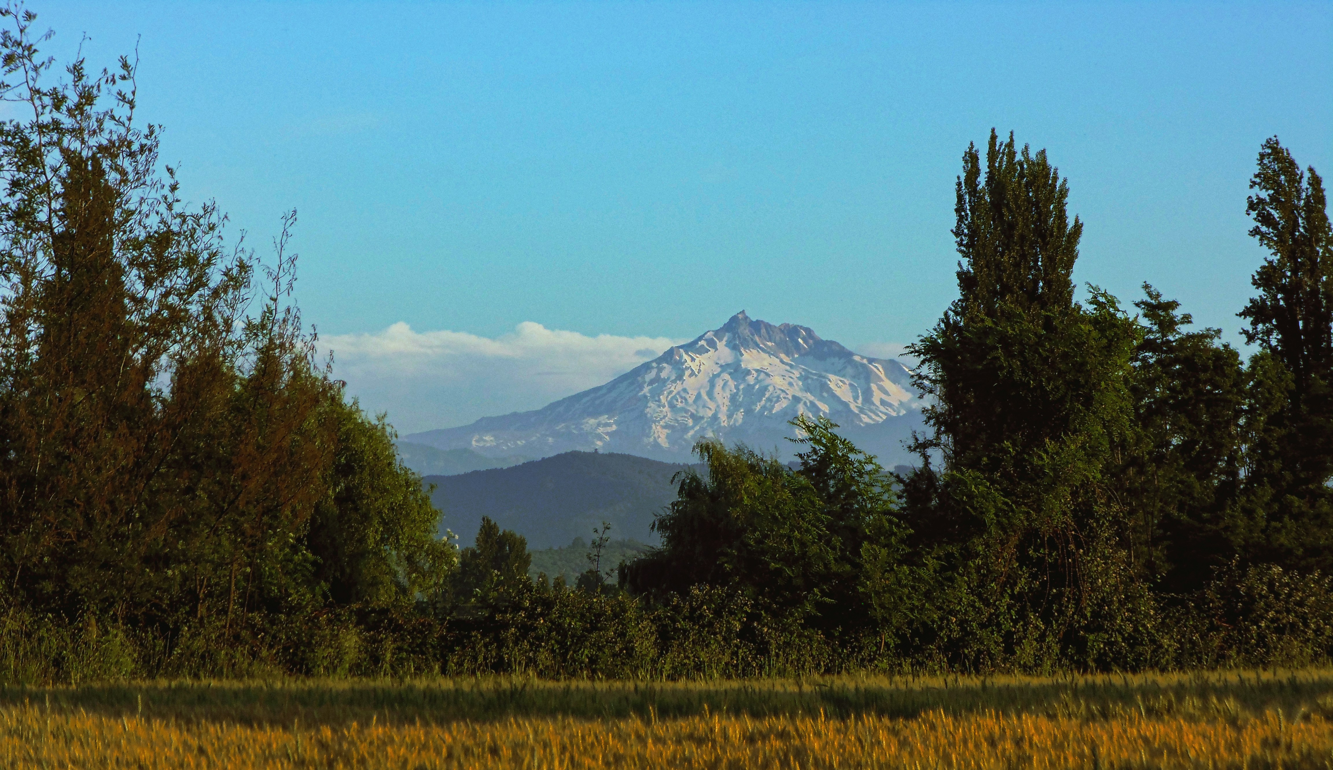 Photo by by_iamvndres