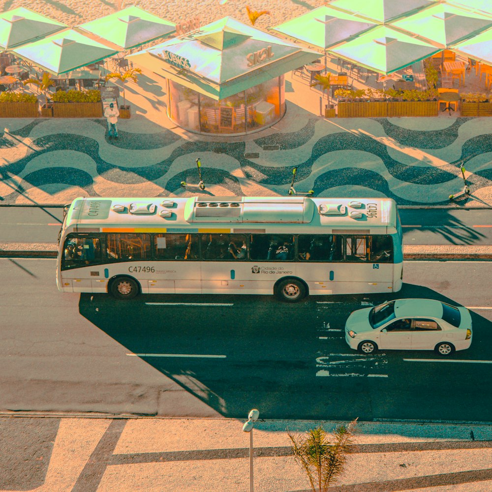 white and green bus on road during daytime