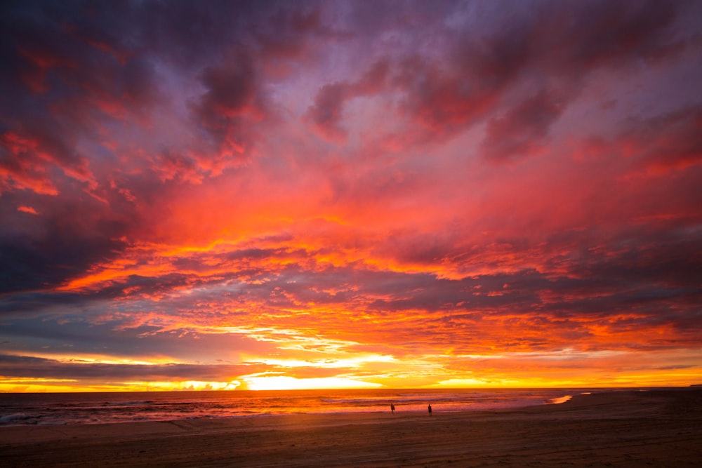 silhouette of people on beach during sunset