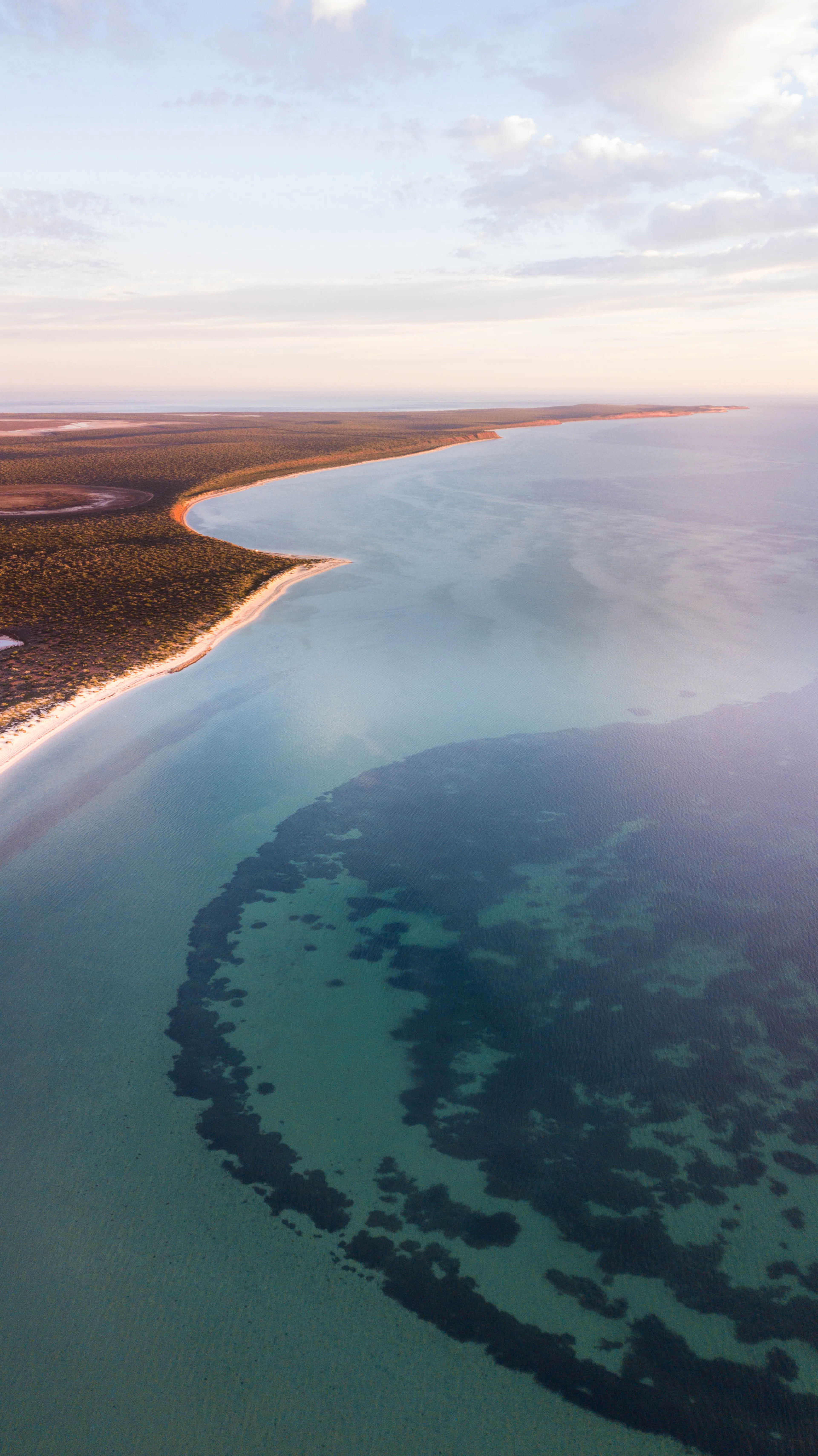 Cape Peron in Shark Bay from the air: a red shoreline, shallows and blue water