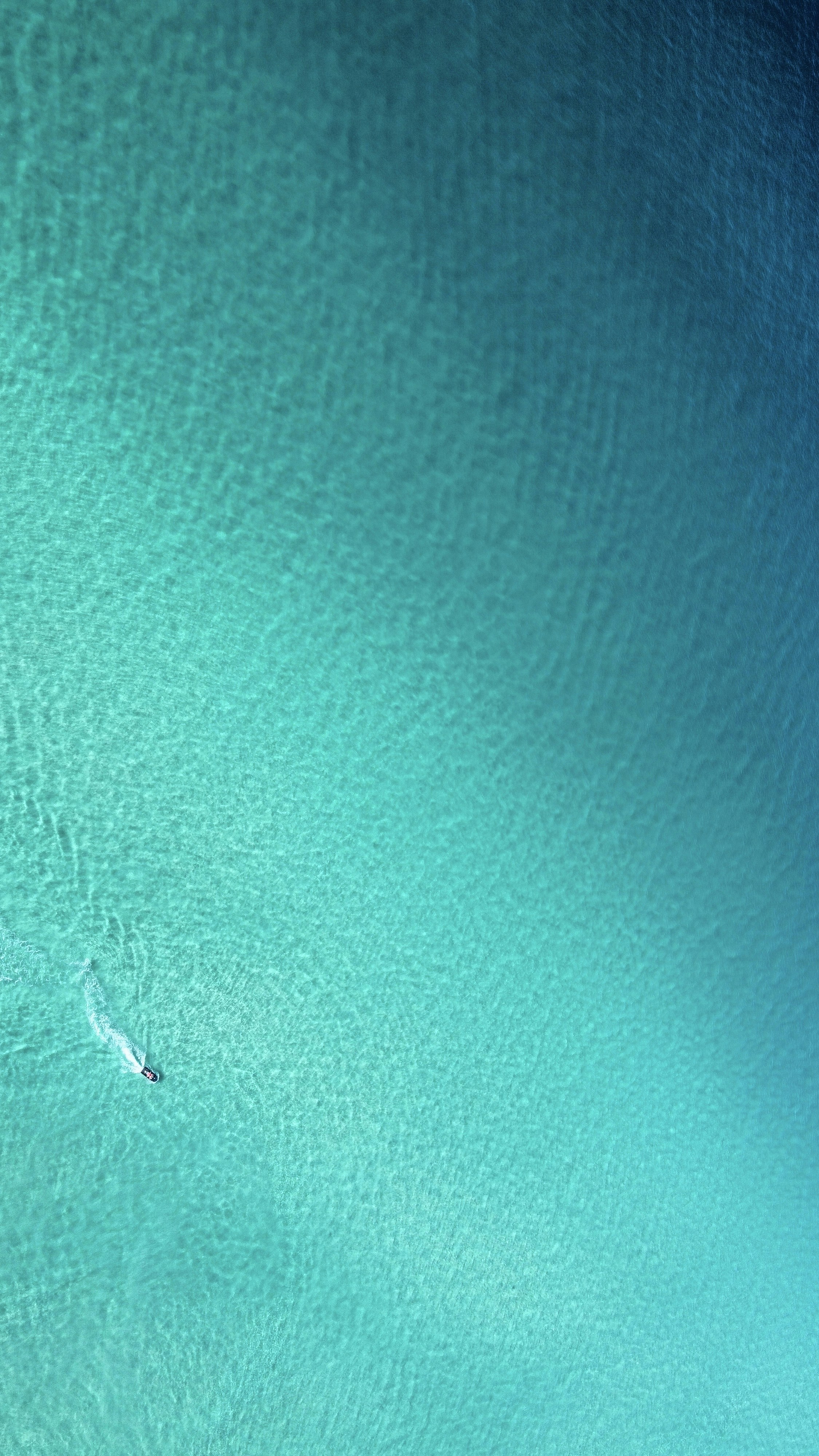 Photo by lincolneather