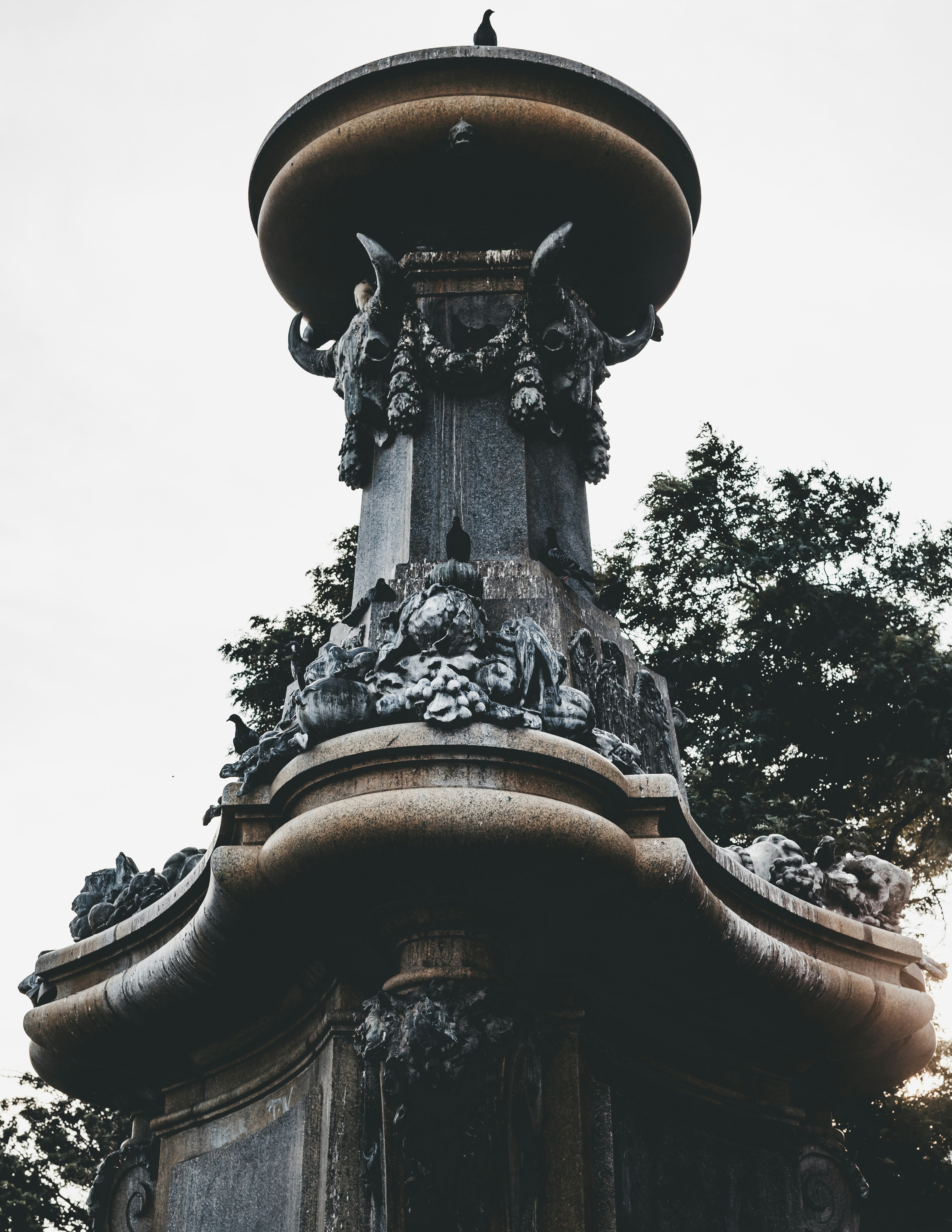 Photo by photosoflogan