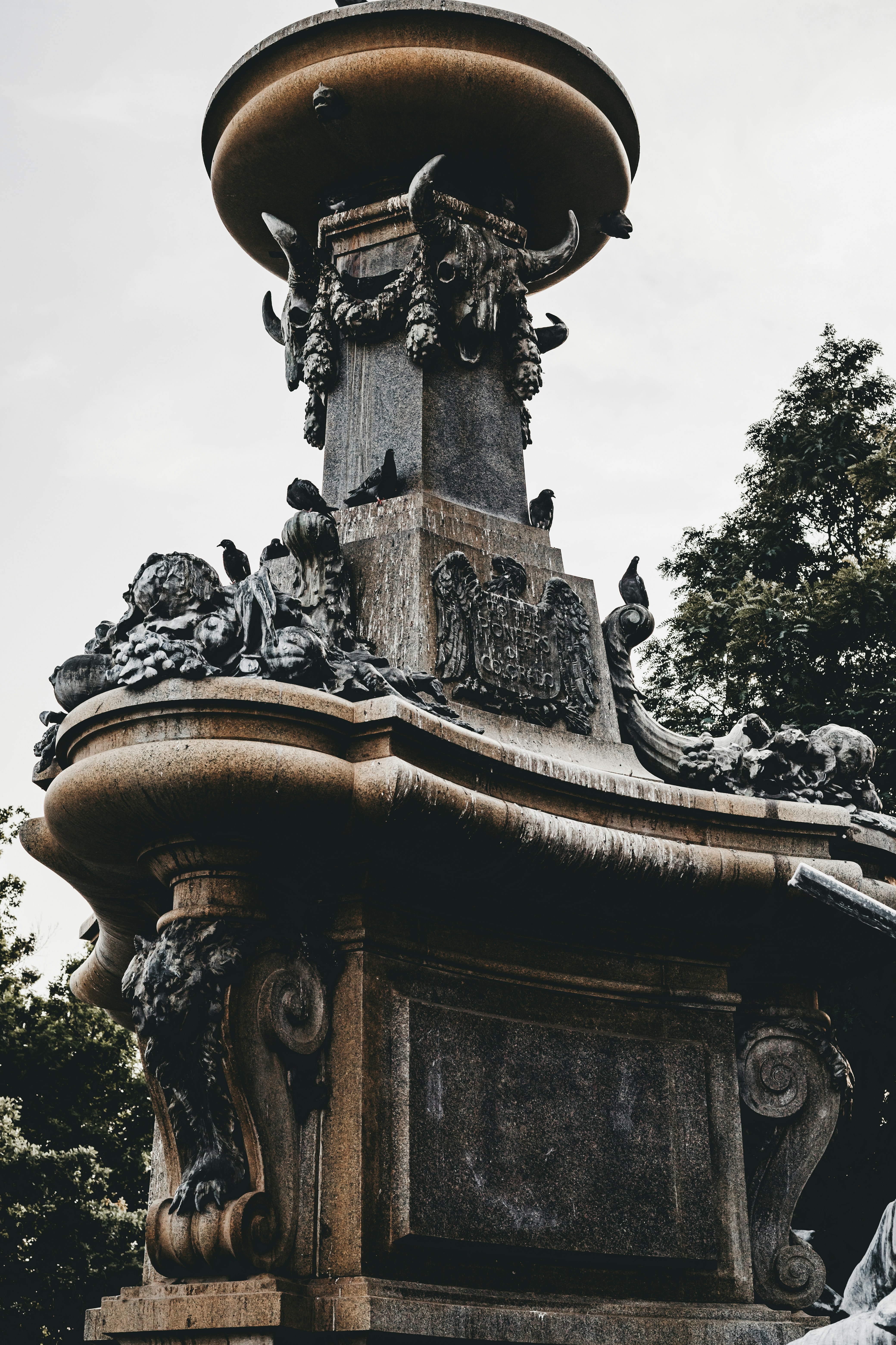 Photo by photosoflogan