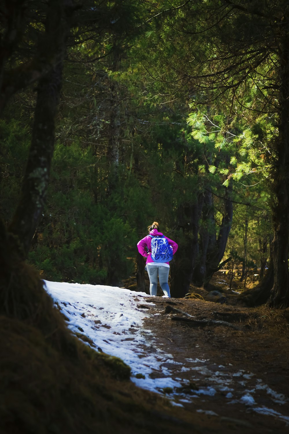 person in blue jacket walking on dirt road between green trees during daytime