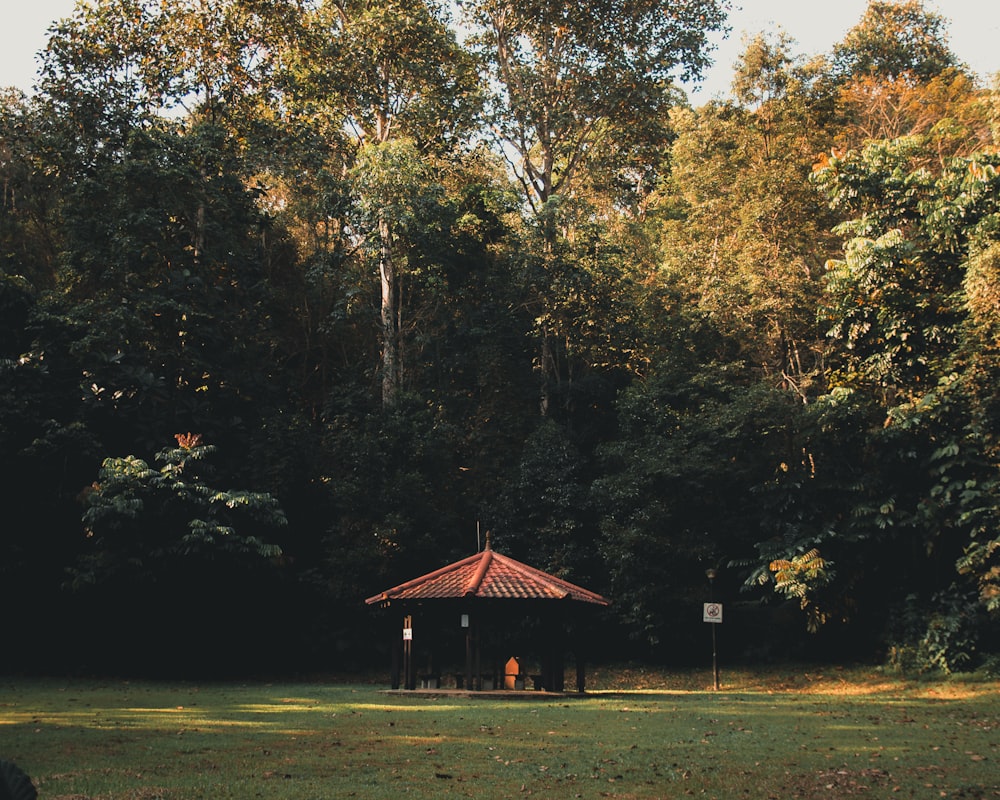 brown and red house surrounded by trees during daytime