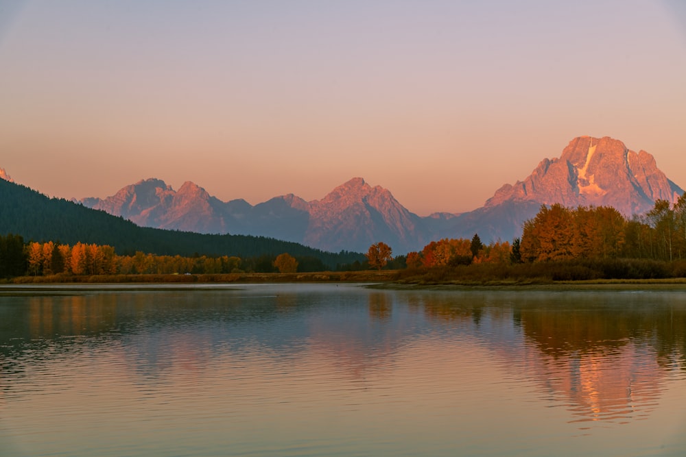 body of water near trees and mountains during daytime