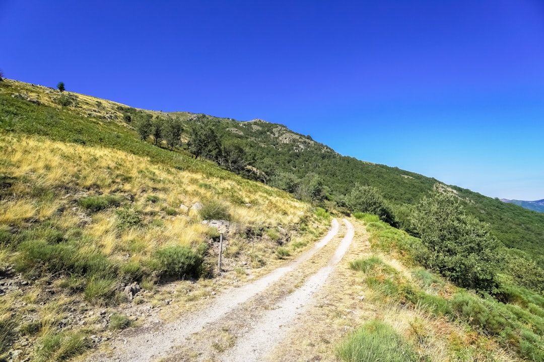 brown dirt road between green grass field under blue sky during daytime