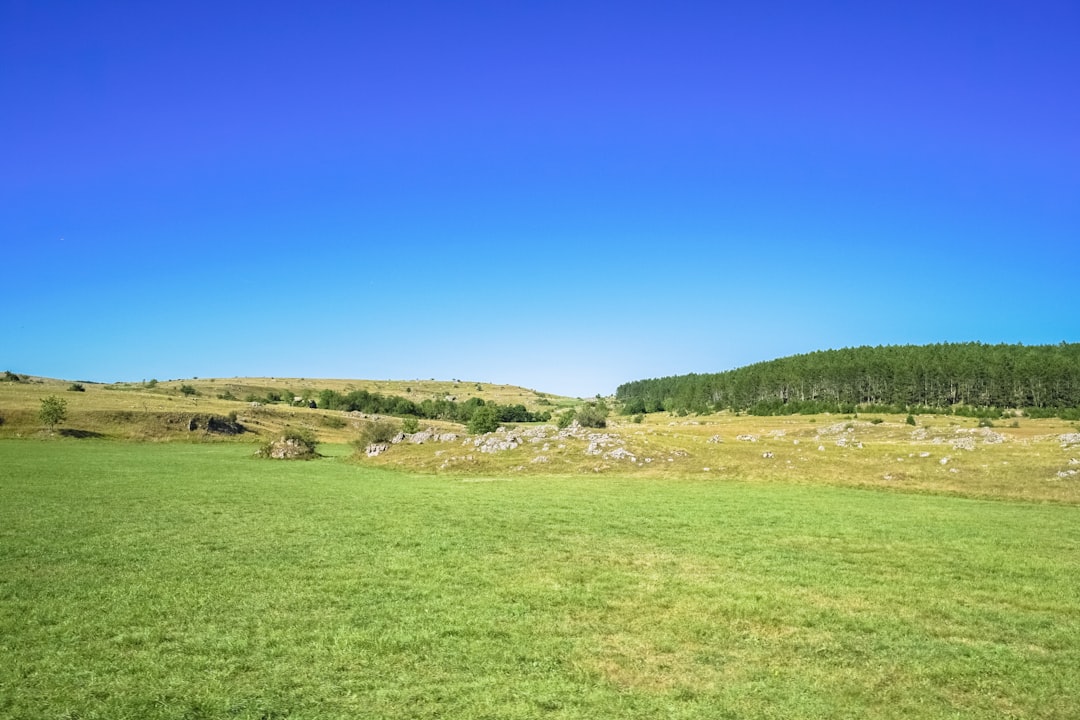 green grass field under blue sky during daytime