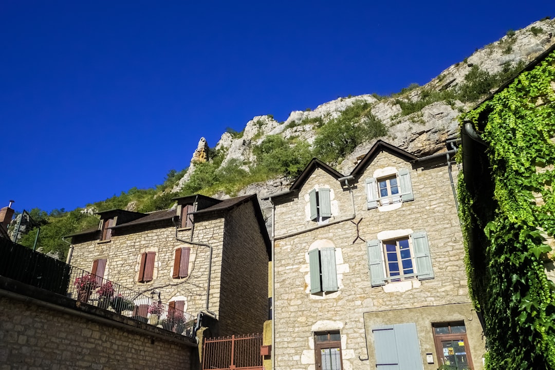 white and brown concrete houses near green trees under blue sky during daytime