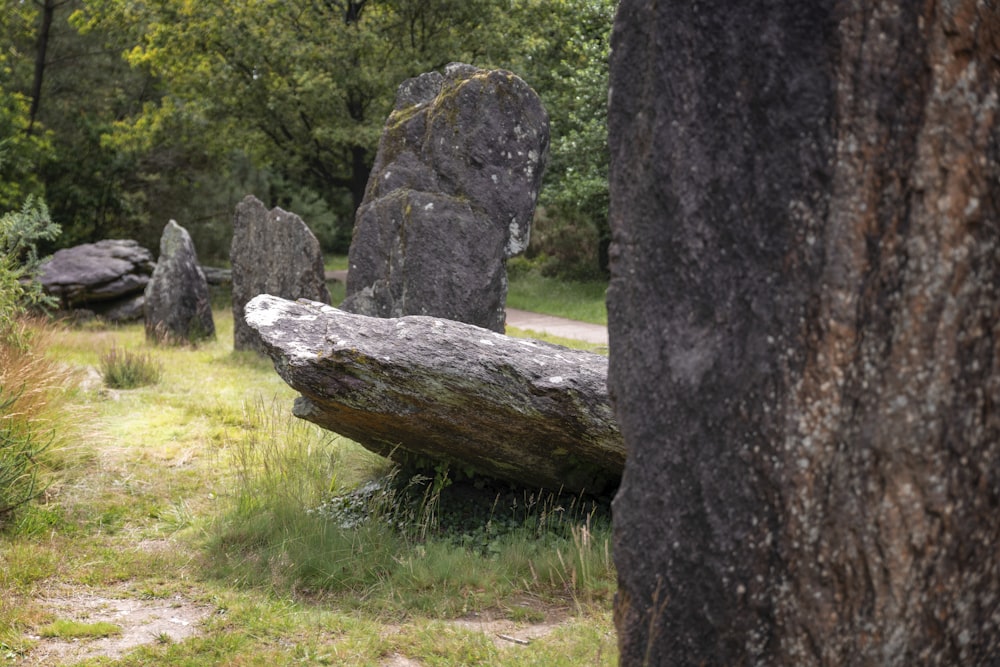 gray rock on green grass field during daytime