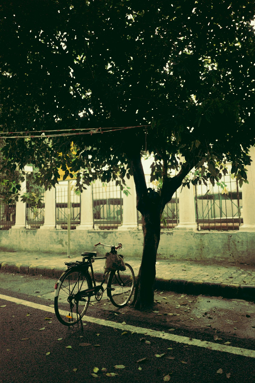 man in black jacket riding bicycle on road during daytime