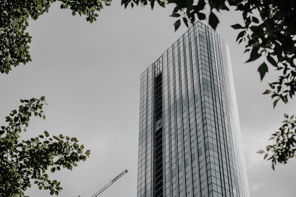 gray concrete building near green tree during daytime