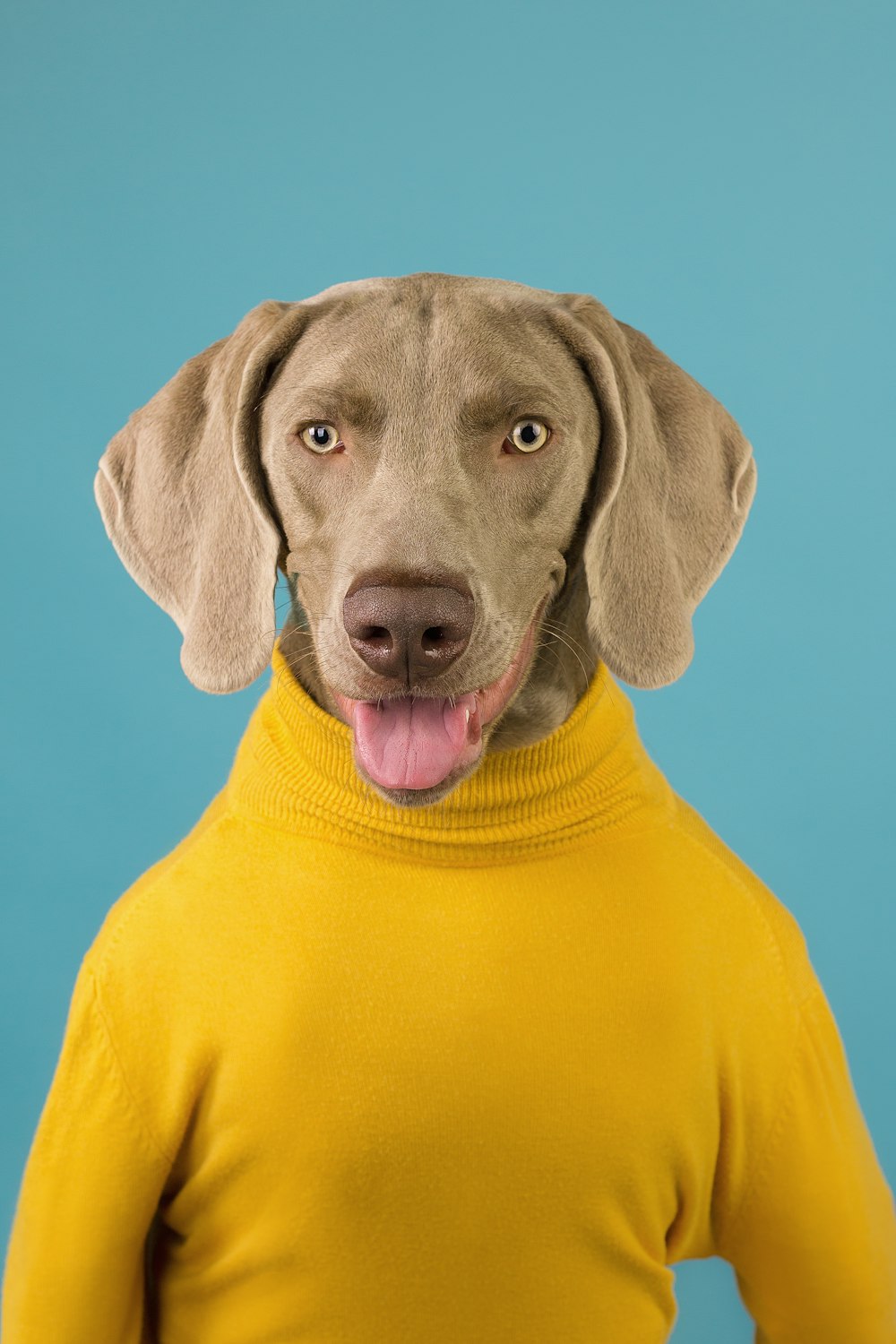 woman in yellow turtleneck sweater