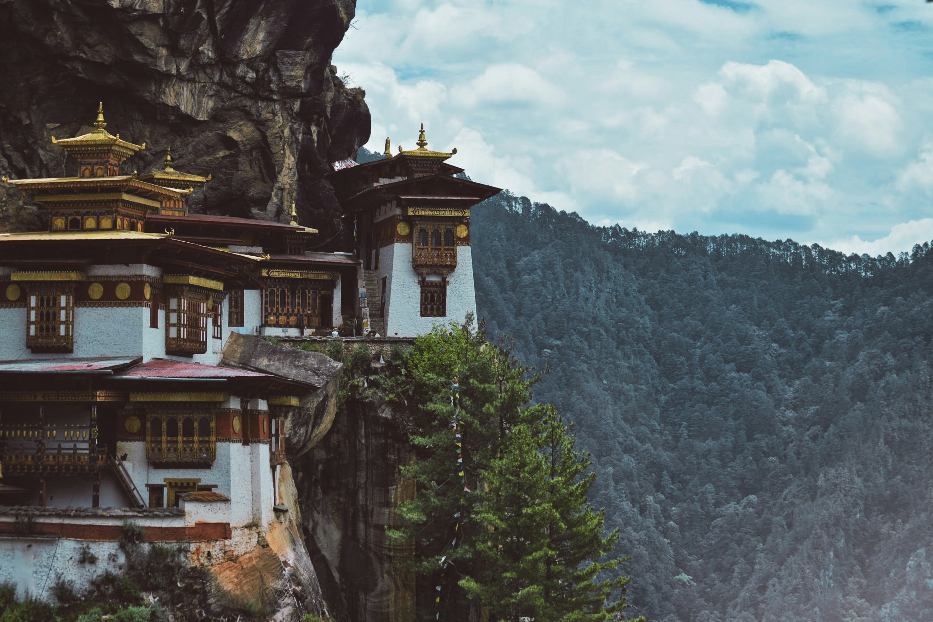 Photo by southern_scenes