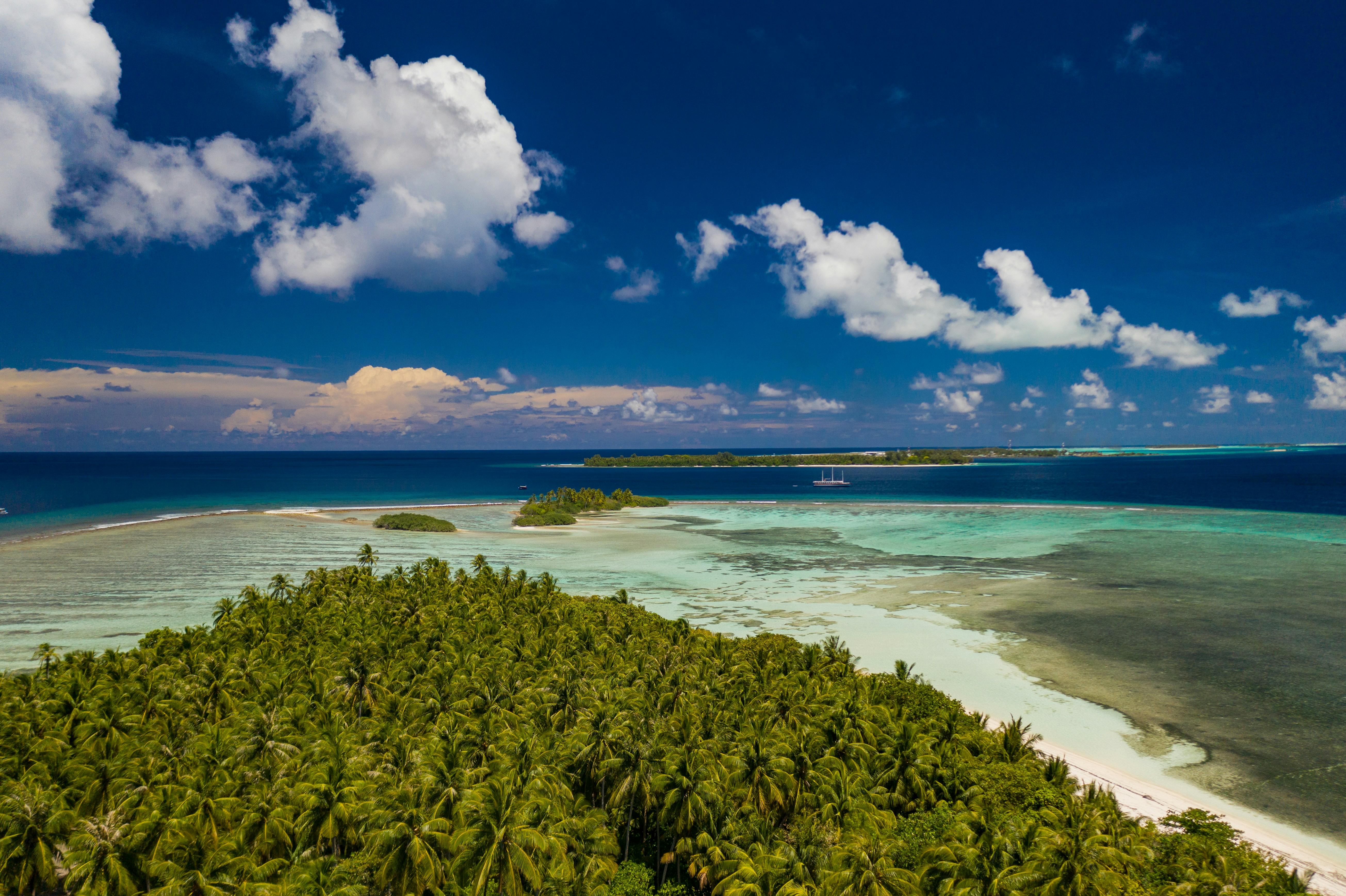 green trees near sea under blue sky and white clouds during daytime, daily dose of blues & greens