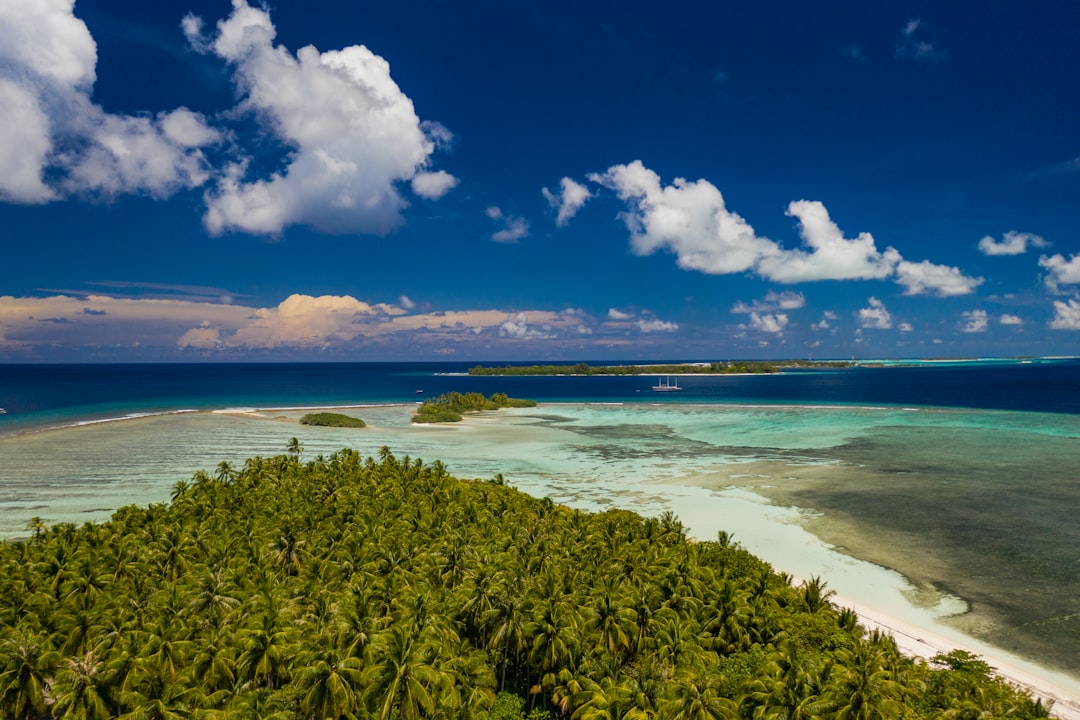 green trees near sea under blue sky and white clouds during daytime