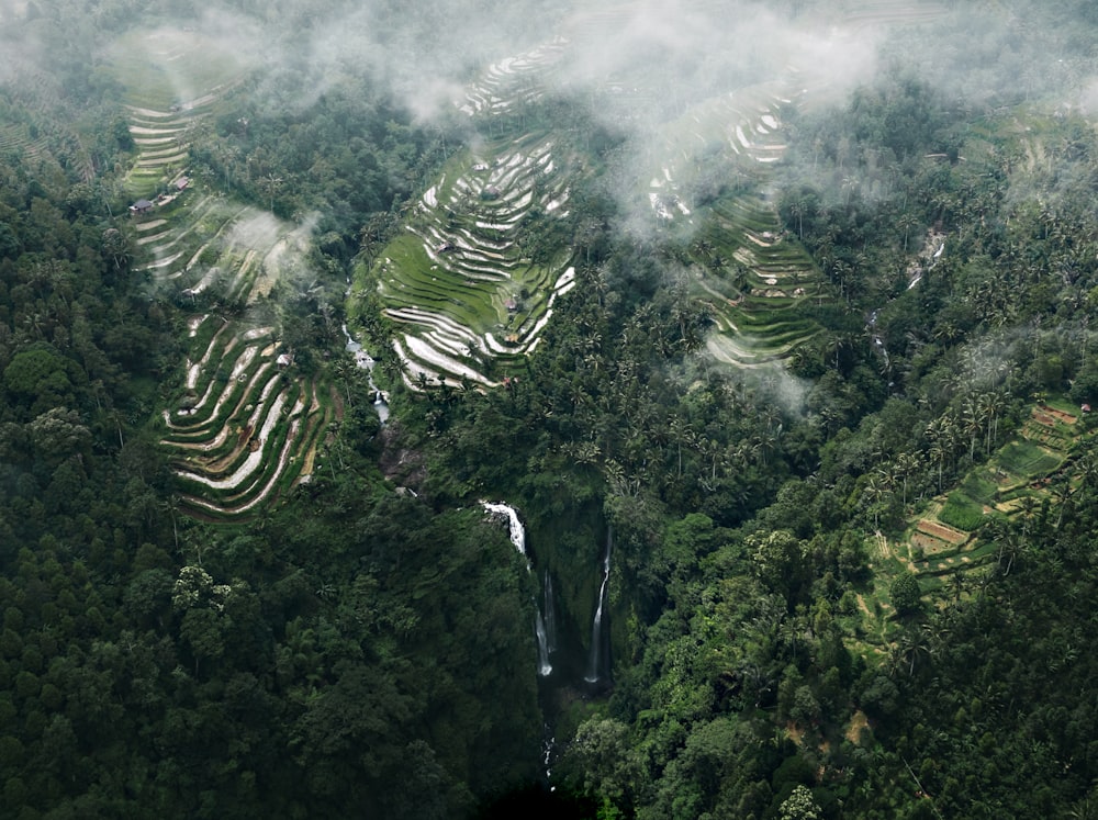 green trees on mountain during daytime