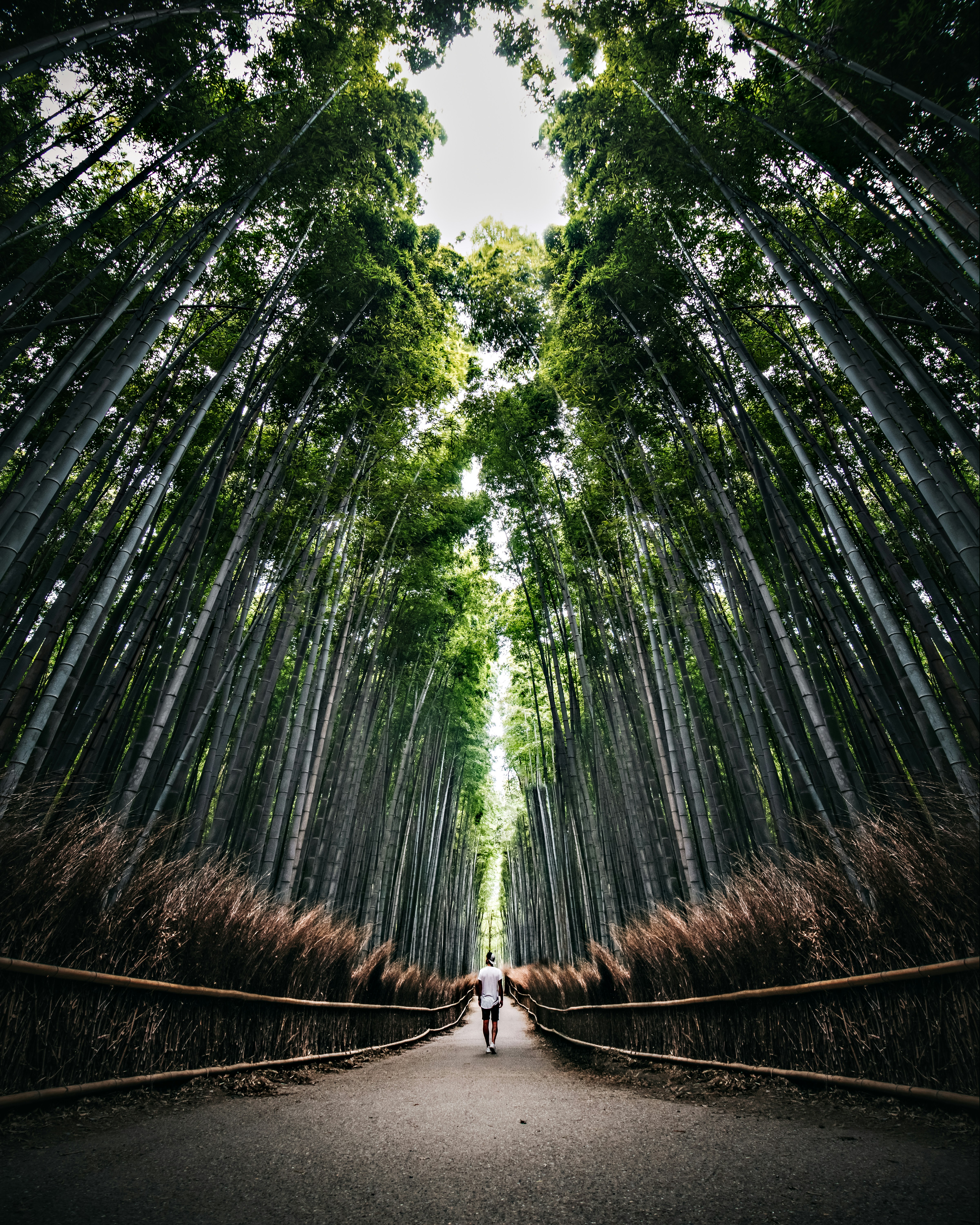 Photo by filippo_cesarini