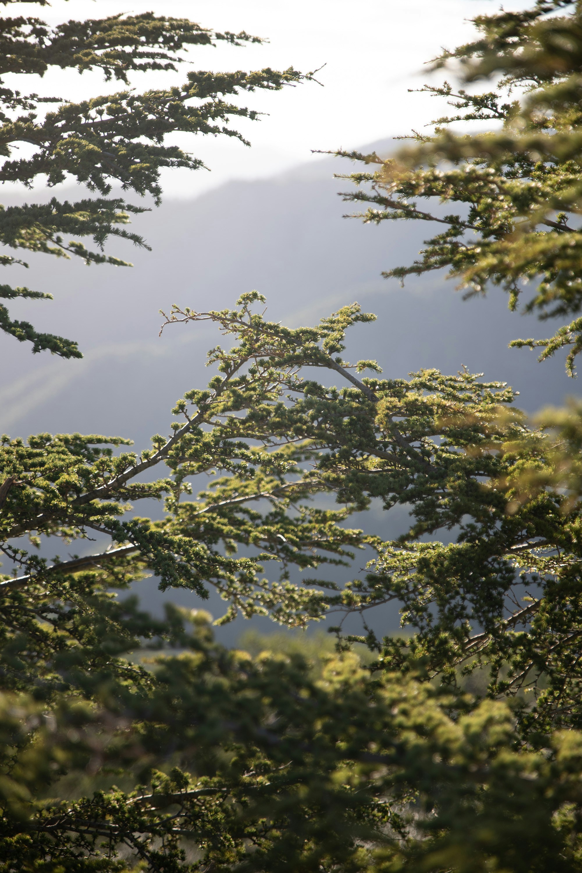 Photo by michaelmavris