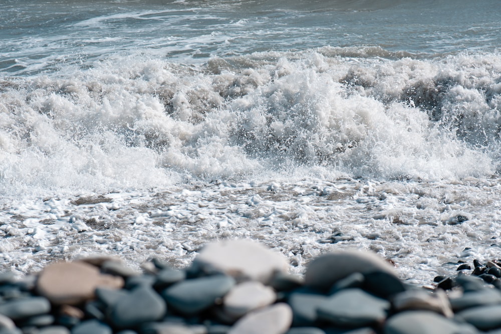 black stones on seashore during daytime