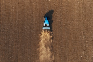 black and blue lego toy