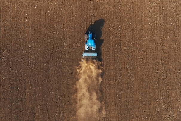 black and blue lego toy