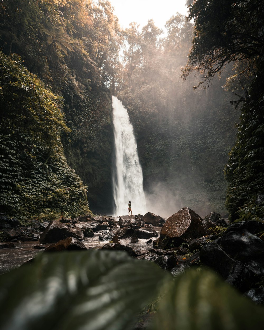 waterfalls in the middle of the forest