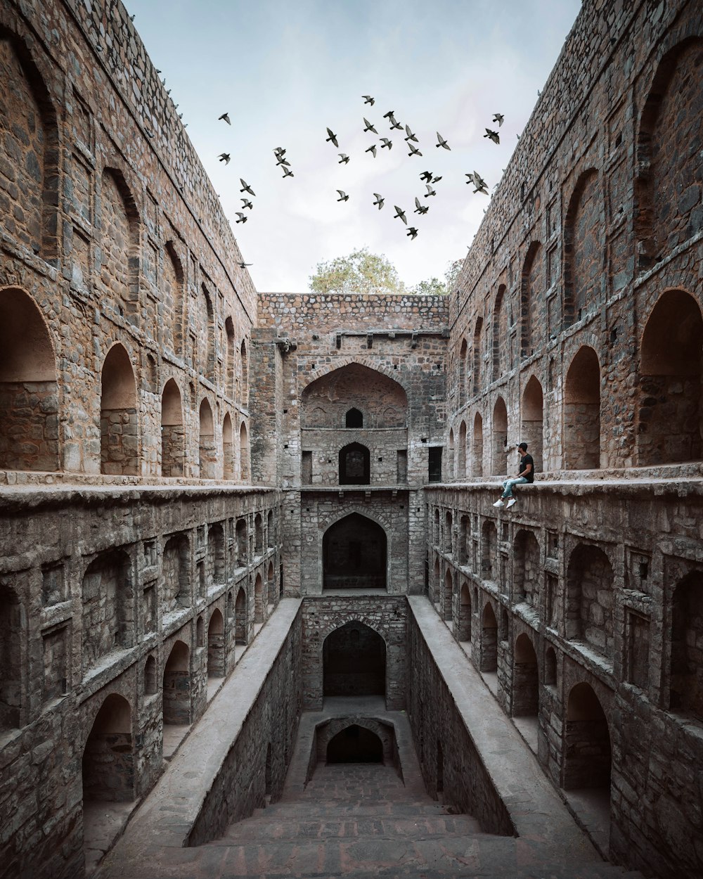 flock of birds flying over the building during daytime