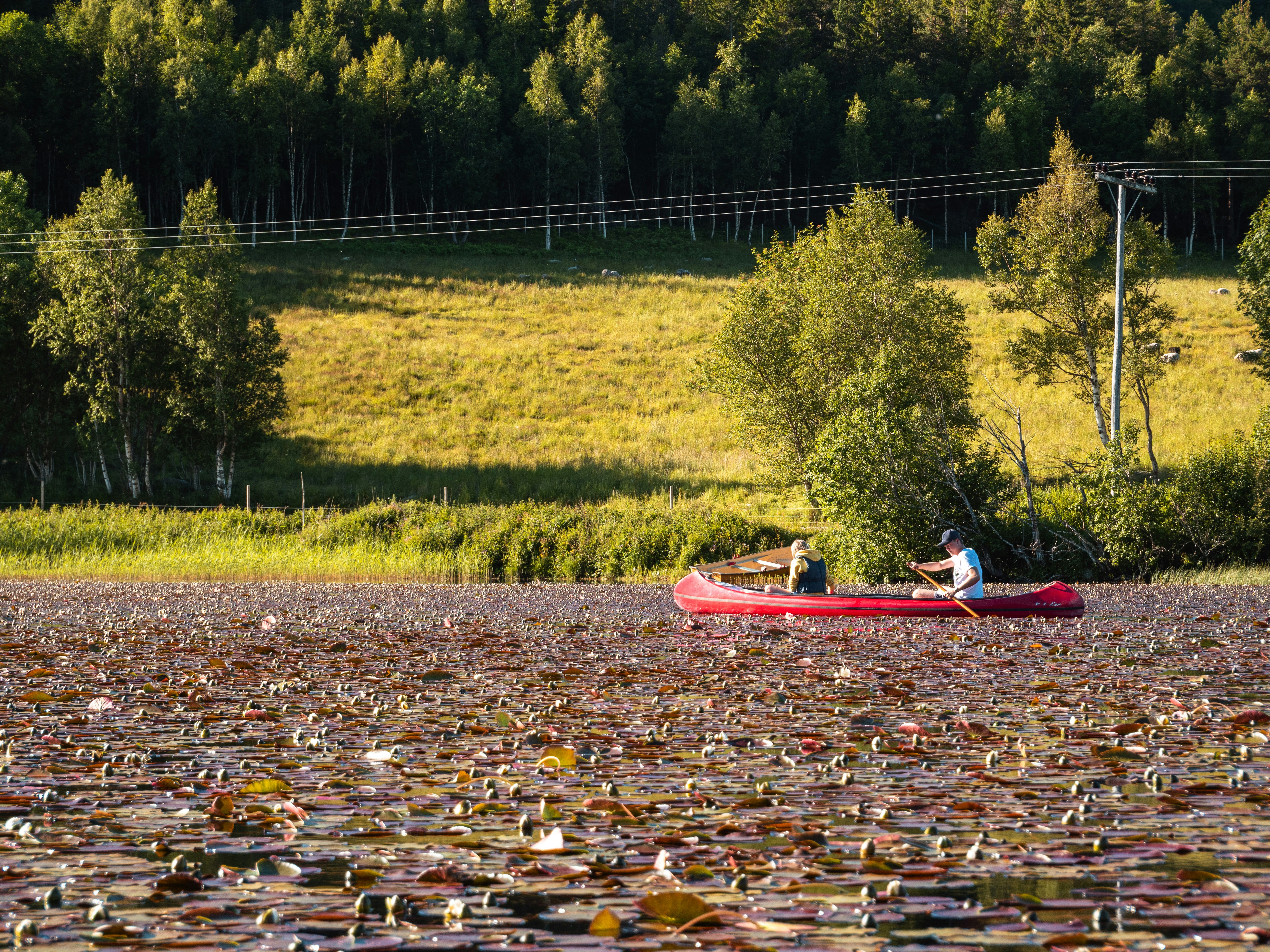 Photo by robinmikalsen