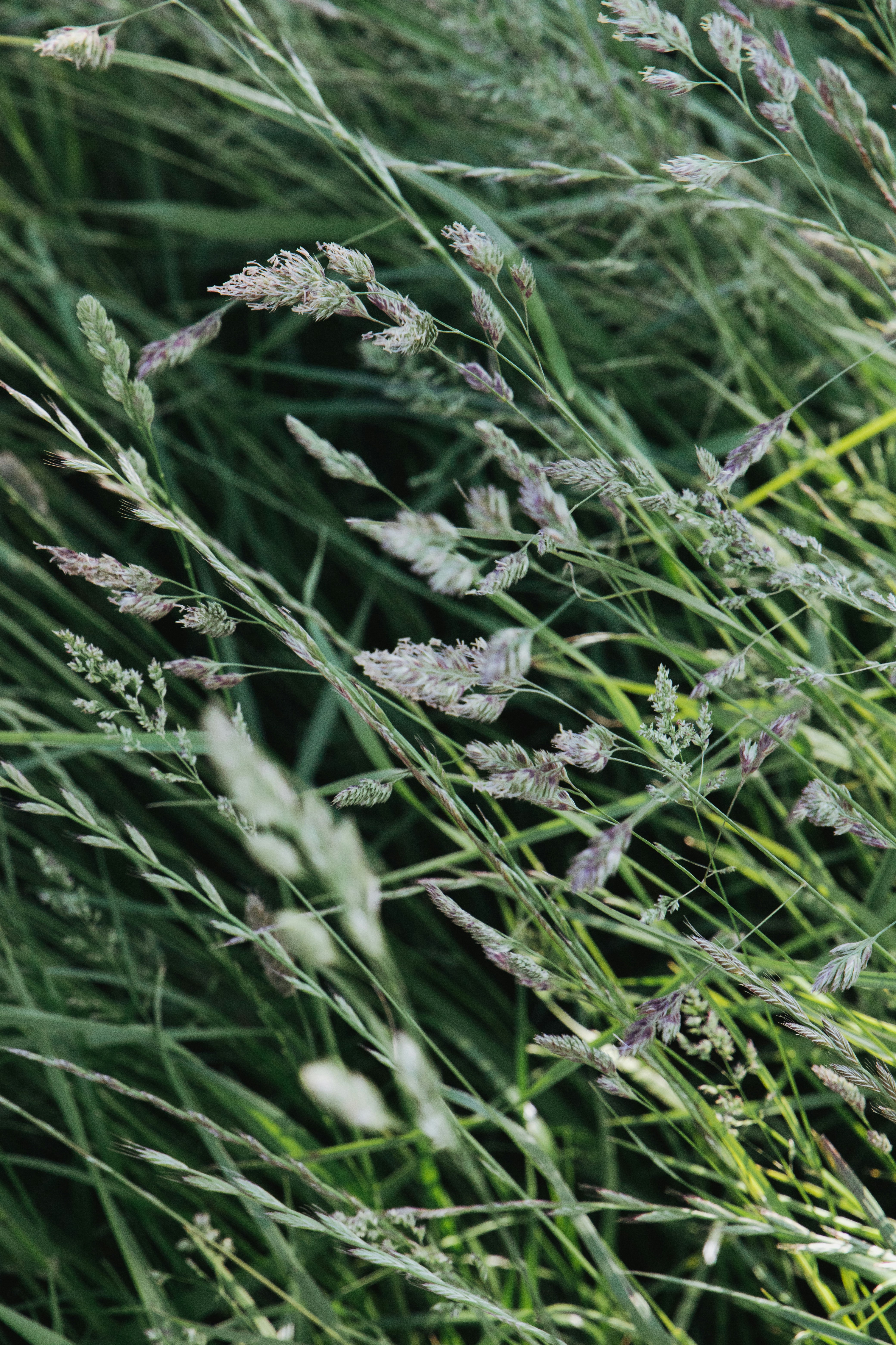 Photo by katharina_bill