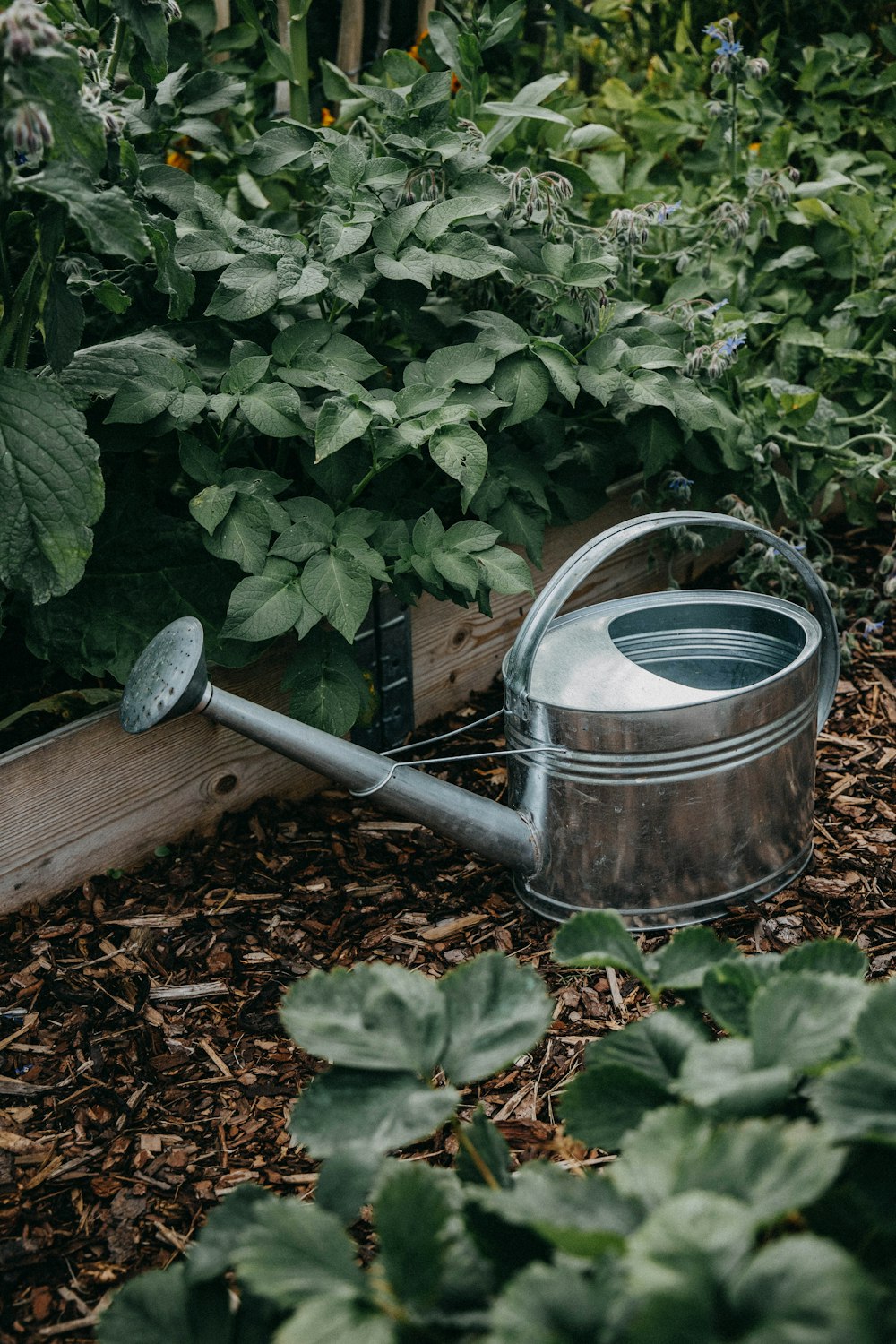 stainless steel watering can on brown wooden fence