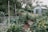 A lush garden filled with a variety of plants and flowers, with a pathway leading to a green greenhouse in the background. The scene is framed by a large tree and surrounded by wooden fencing. Vibrant greenery dominates the scenery, with colorful flowers adding contrast.