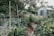 A lush garden filled with a variety of plants and flowers, with a pathway leading to a green greenhouse in the background. The scene is framed by a large tree and surrounded by wooden fencing. Vibrant greenery dominates the scenery, with colorful flowers adding contrast.