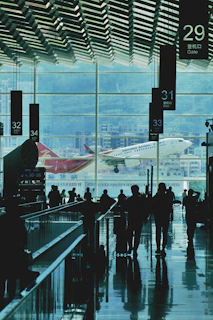 people walking on the street