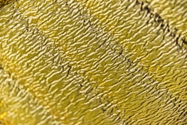 Close-up of textured black surface with subtle golden highlights reflecting light.