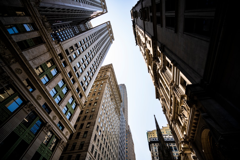 low angle photography of high rise buildings during daytime