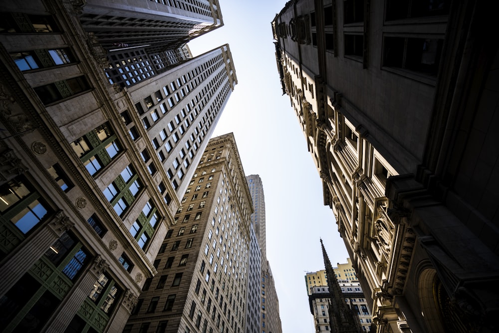 low angle photography of high rise buildings during daytime
