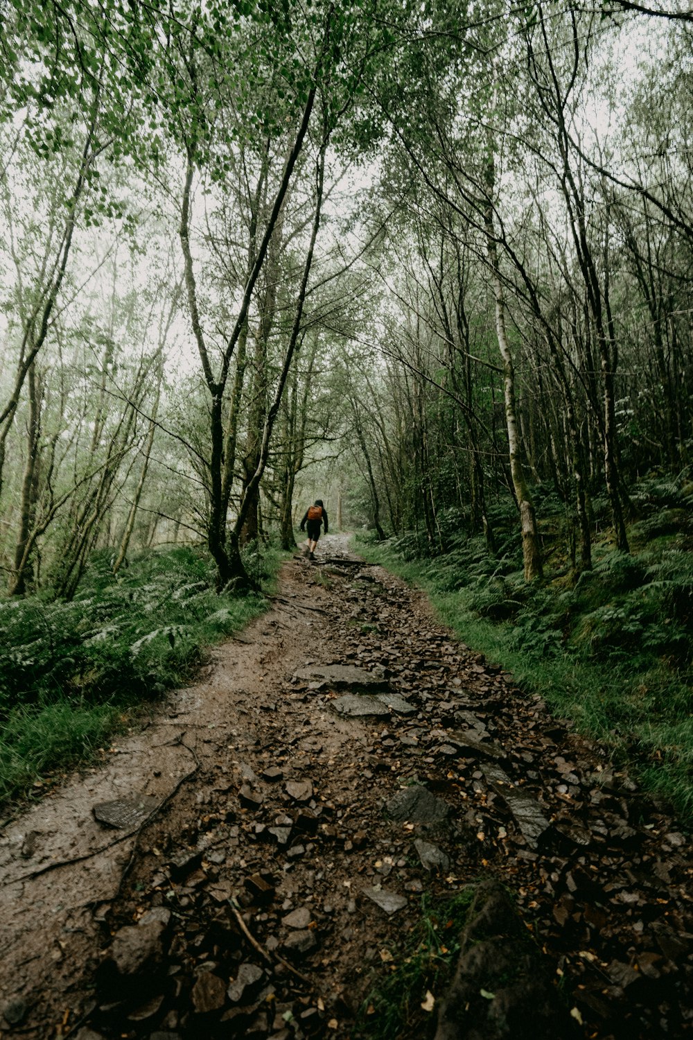 person in brown jacket walking on dirt road between green trees during daytime