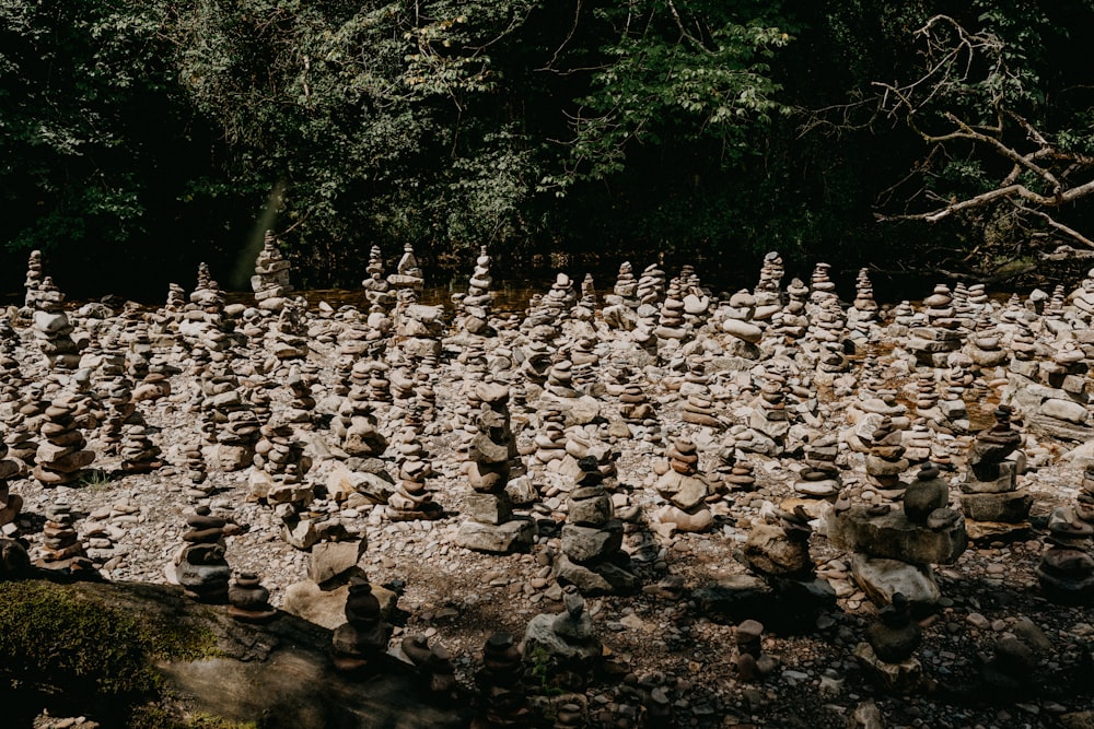 gray rocks on river during daytime