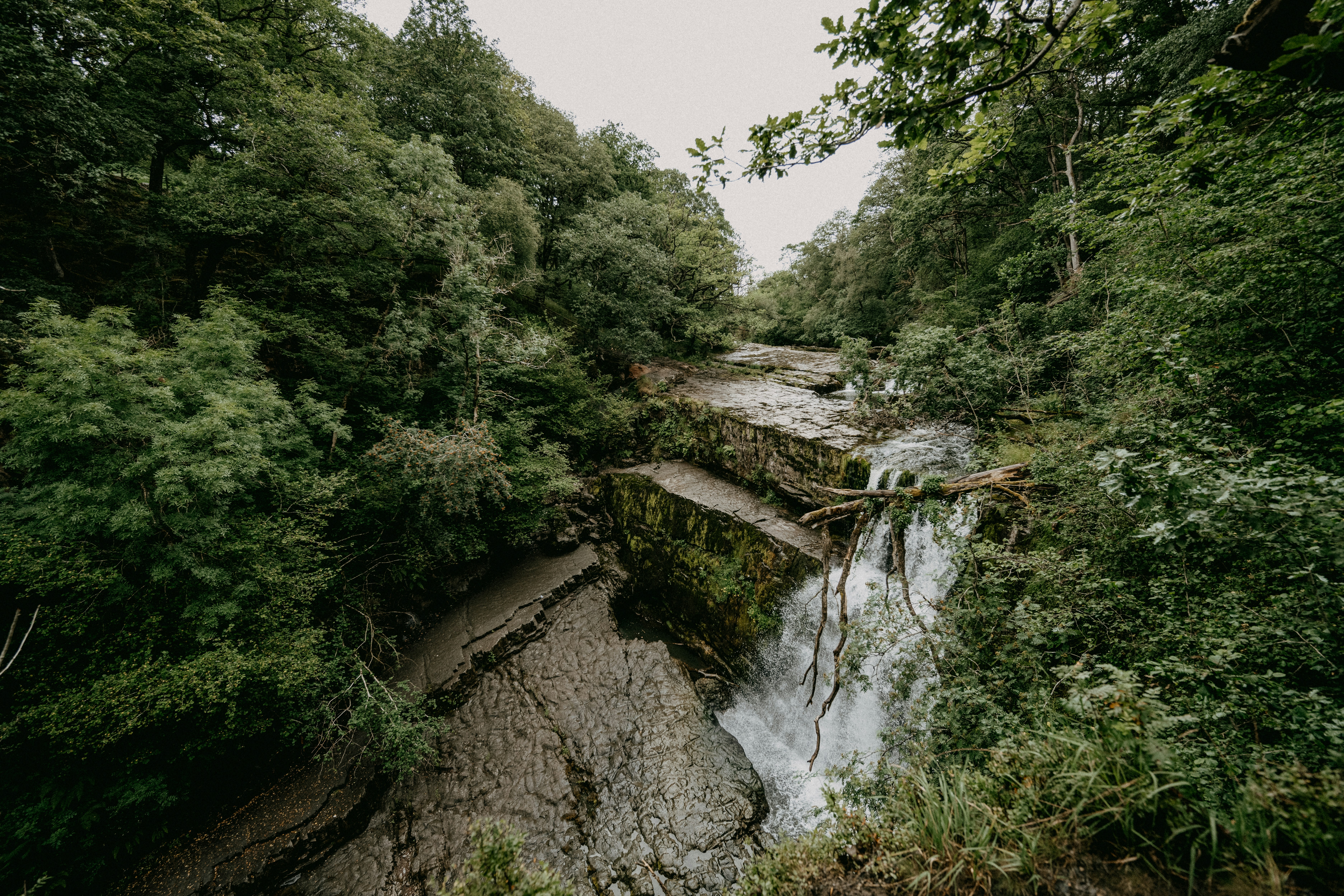 Photo by anniespratt