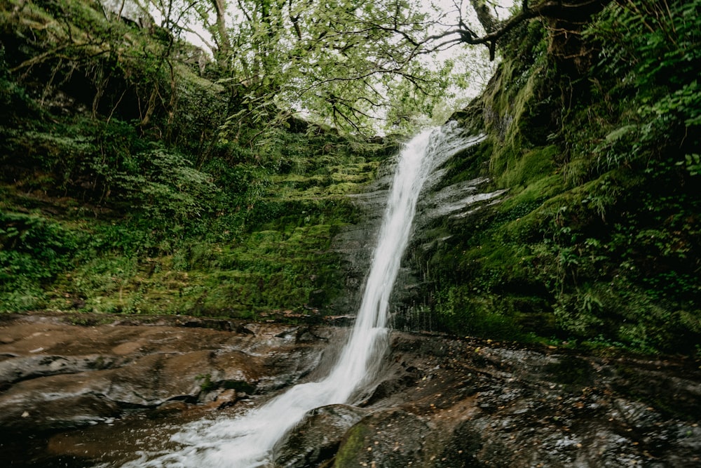 waterfalls in the middle of green trees