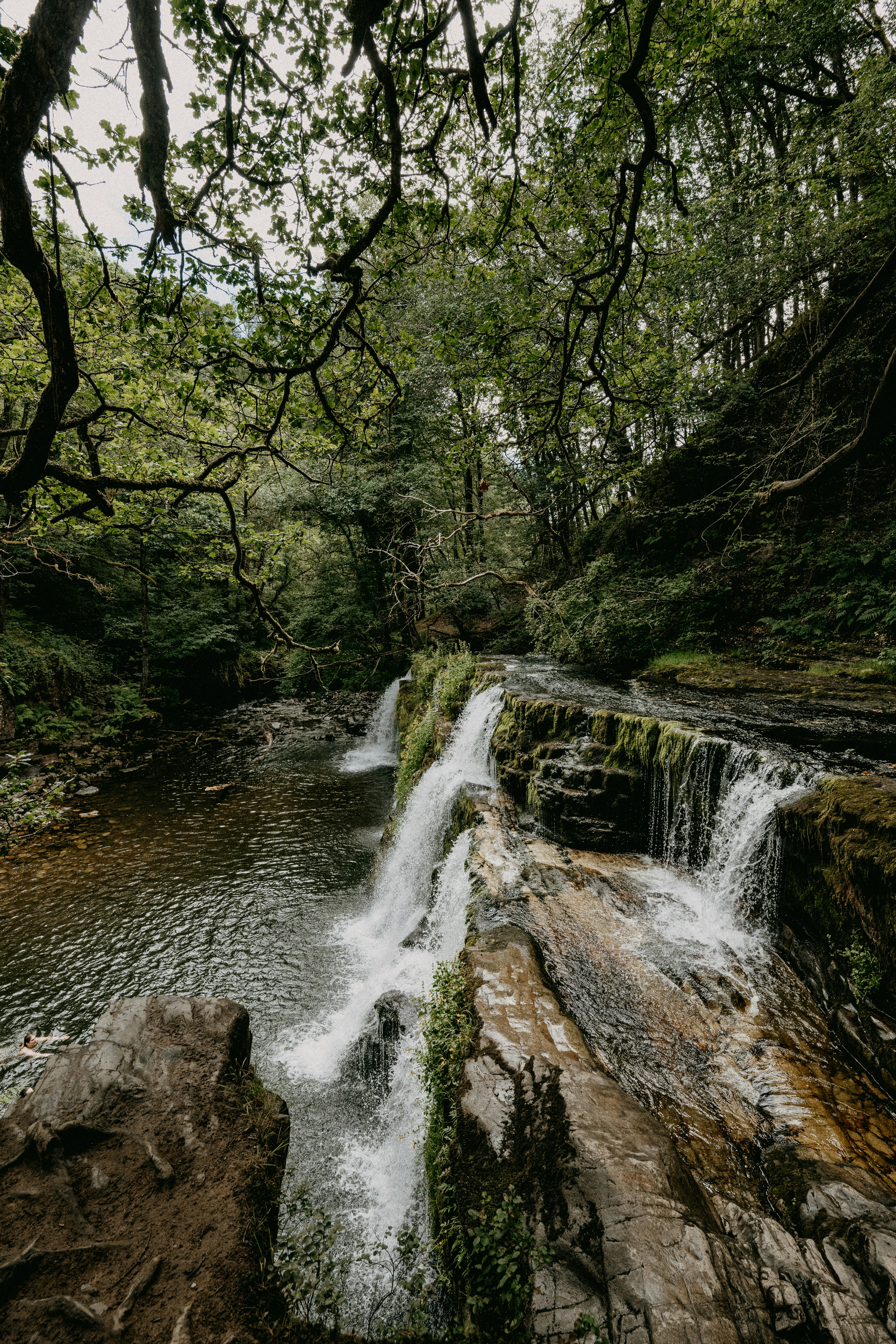 Photo by anniespratt
