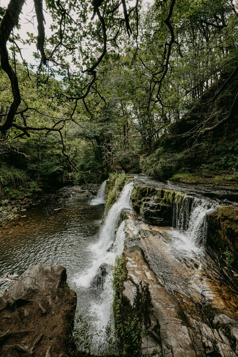 water falls in the middle of green trees