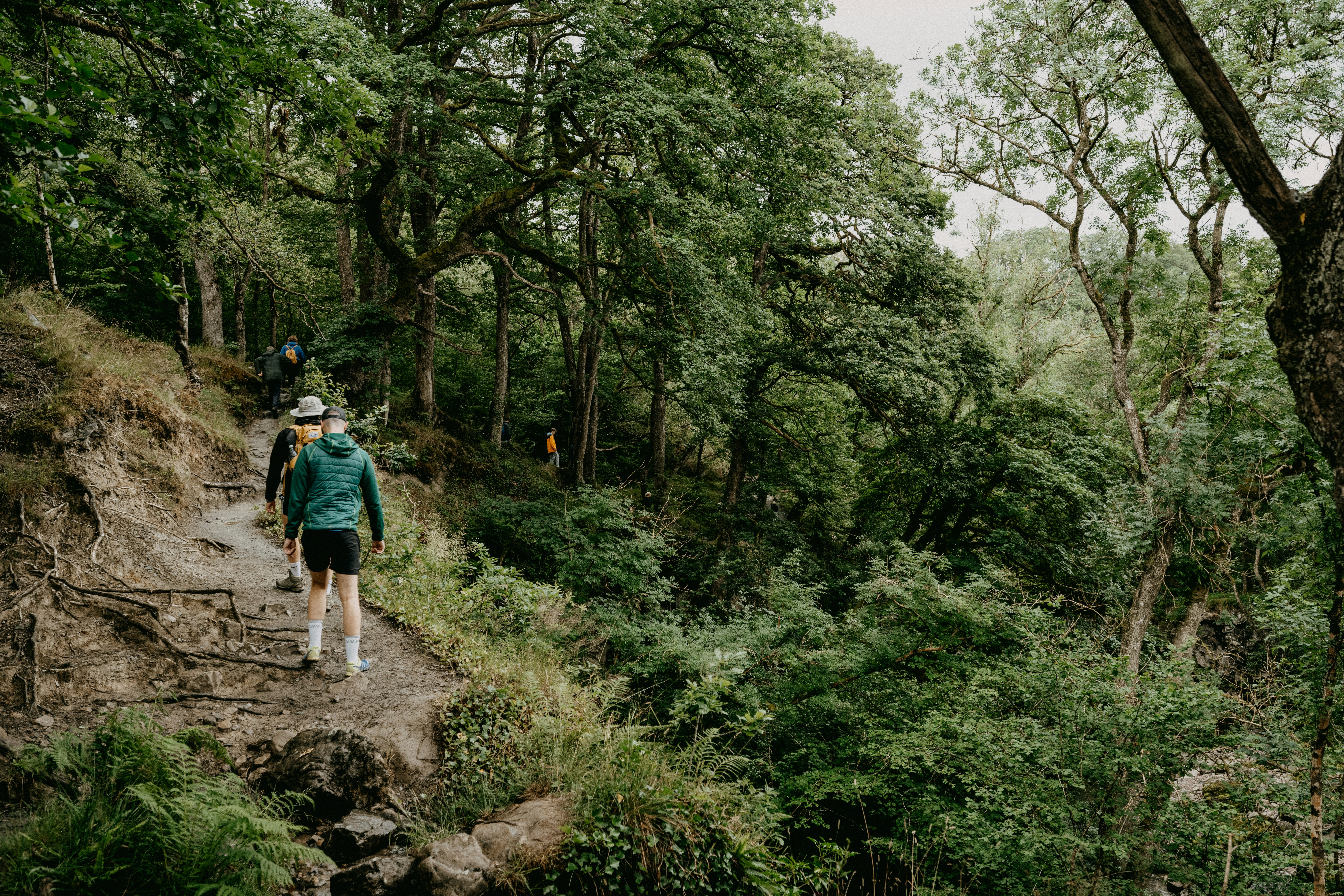 Walking Tours and Local Guides Are Back