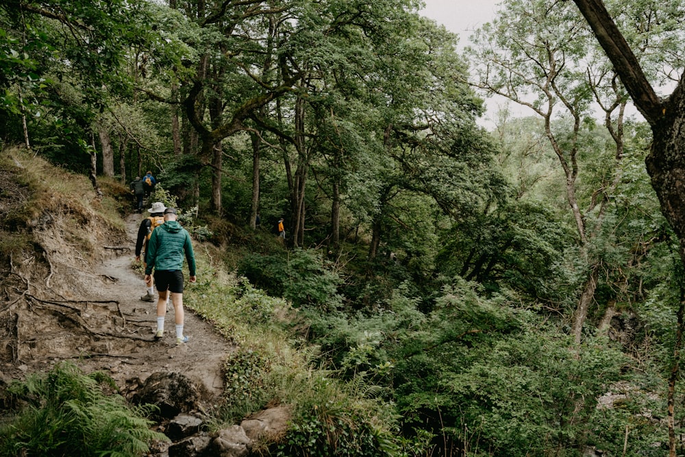 man in green shirt walking on rocky pathway between green trees during daytime