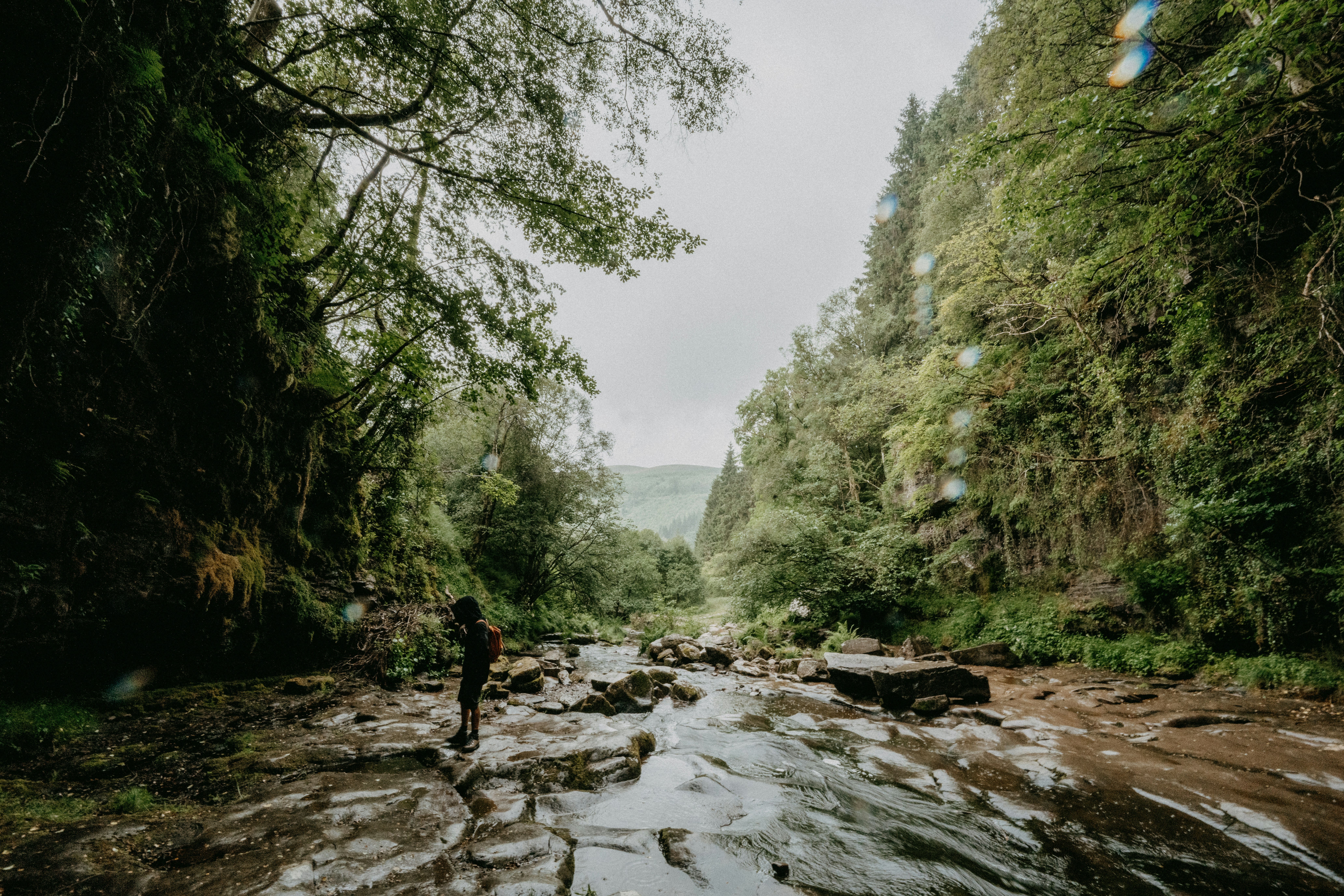 Photo by anniespratt