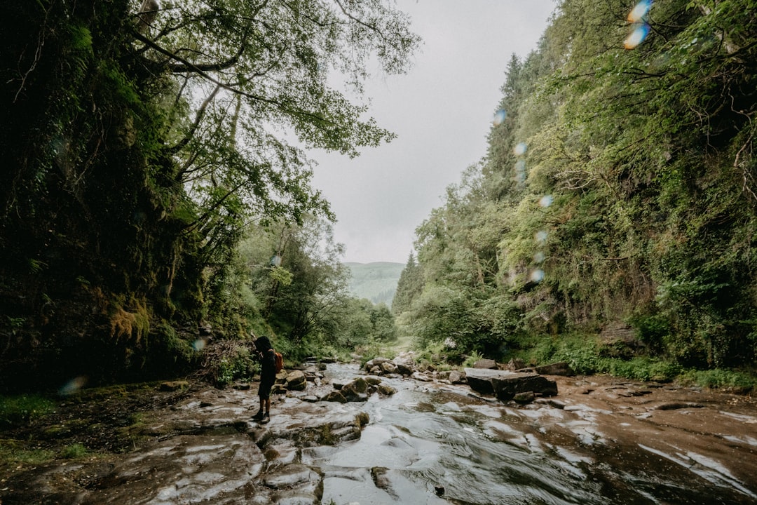 person in black jacket standing on rocky river between green trees during daytime