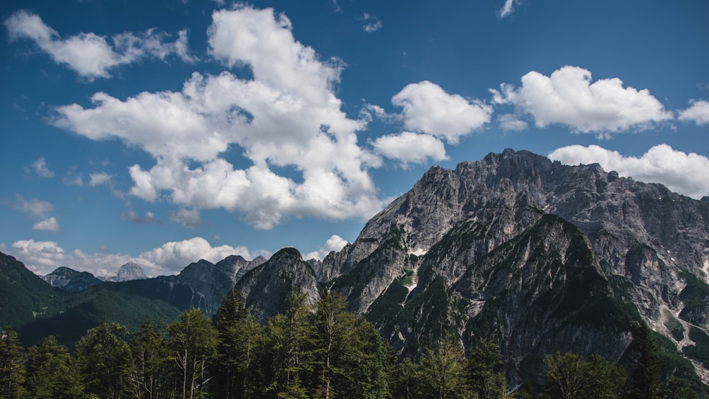 green trees and mountain under blue sky and white clouds during daytime